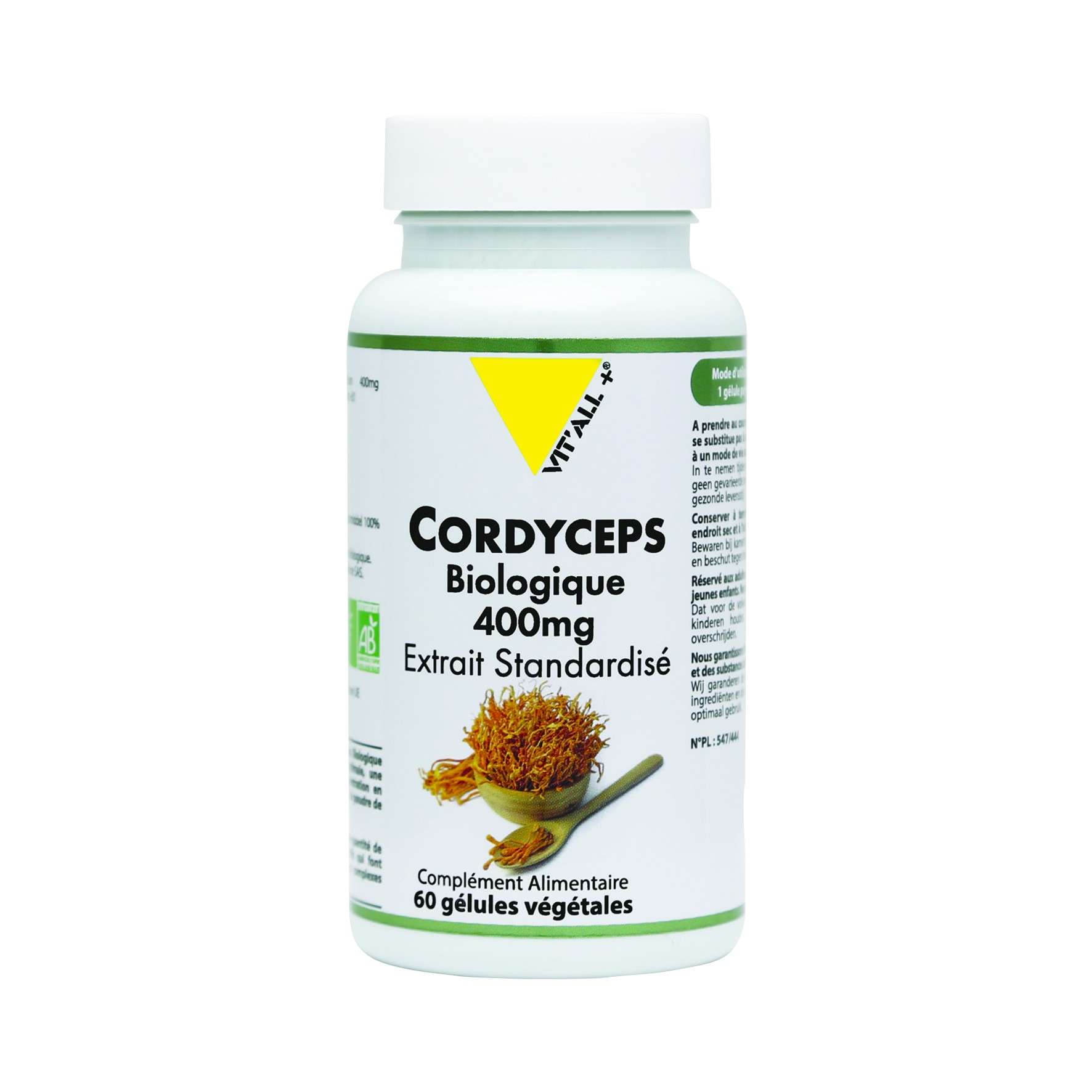 cordyceps-bio